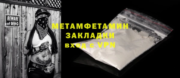 сатива Коряжма