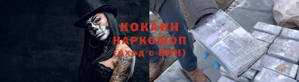 прущие крисы Кодинск