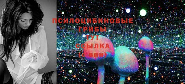 ГАЛЛЮЦИНОГЕННЫЕ ГРИБЫ Кулебаки