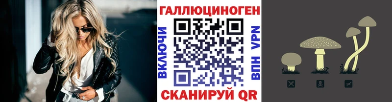 Псилоцибиновые грибы GOLDEN TEACHER Кузнецк