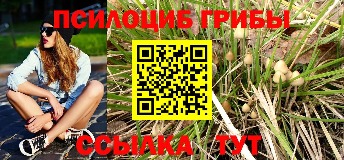 Галлюциногенные грибы Psilocybine cubensis  Вход с VPN  Галлюциногенные грибы MAGIC MUSHROOMS  Кузнецк 