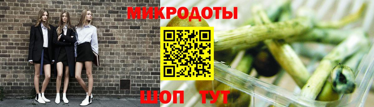 Галлюциногенные грибы Psilocybine cubensis Кузнецк